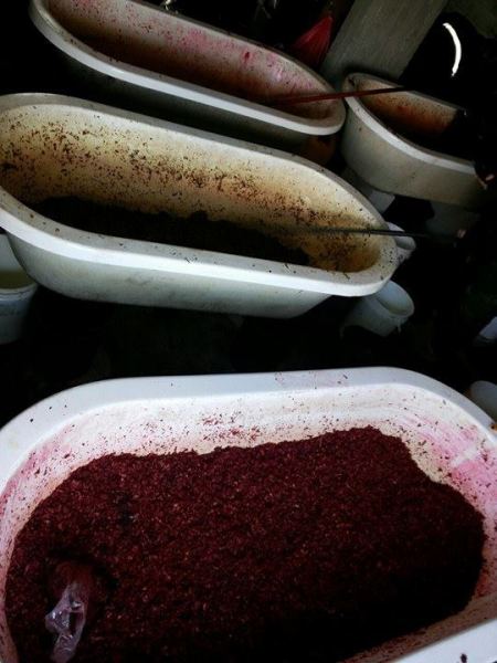 الضابطة الجمركية تضبط مصنع لتزوير المعسل جنين